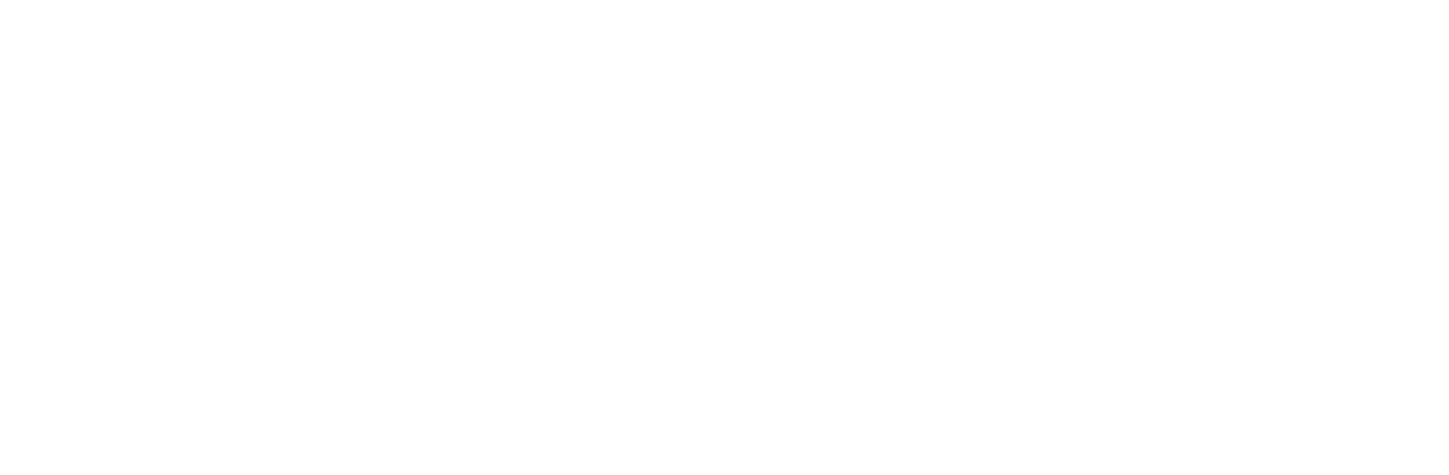 Garanti Vizem